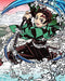 Demon Slayer Kimetsu no Yaiba Vol.1 First Limited Edition DVD CD ANZB-14771/2_1