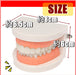 Dental Model Implant Bridge Dentist Research Explanation Small Size Pink NEW_4