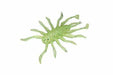 JACKALL worm RV- bug 1.5 inches site chart Chile Pepper NEW from Japan_1