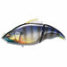 Megabass VATALION190(Slow Floating) GG WILD GILL NEW from Japan_1