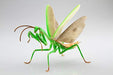 Fujimi 170824 Independent study series No.23 Tenodera aridifolia colored NEW_5