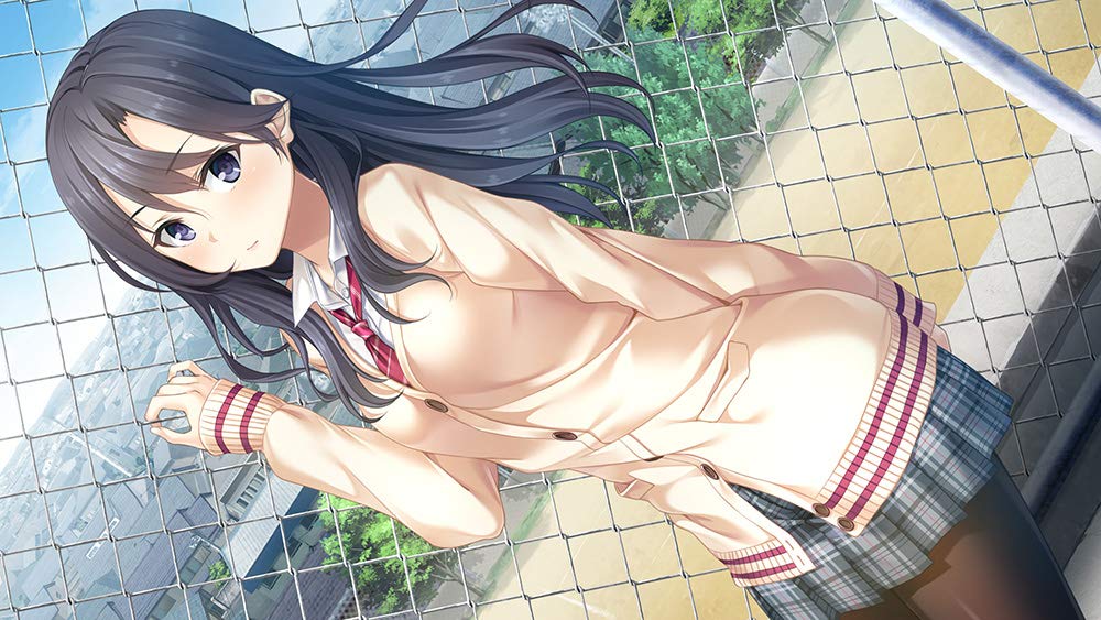 PS4 Game Software Mell Kiss Standard Edition PLJM-16448 Romance Game EnterGram_4