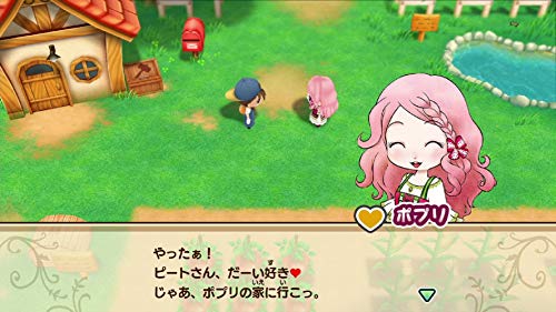 Nintendo Switch Harvest Moon Reunion Mineral Town Bokujo monogatari NEW_4