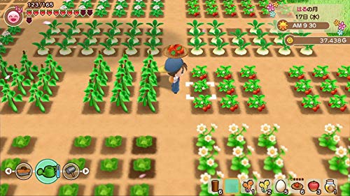 Nintendo Switch Harvest Moon Reunion Mineral Town Bokujo monogatari NEW_7