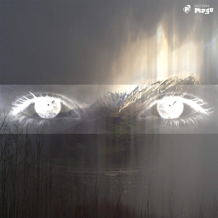 Caterina Barbieri Ecstatic Computation CD PCD-24871 Dance Electronica P-Vine NEW_1