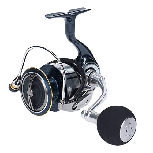 Daiwa 19 CERTATE LT 5000D-CXH MAG SEALED Spinning Reel fishing ‎00060058 NEW_1