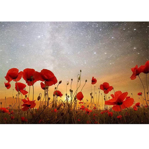 [CD+DVD] Radiant A First Limited Edition with Booklet Aldious ALDI6 Heavy Metal_1