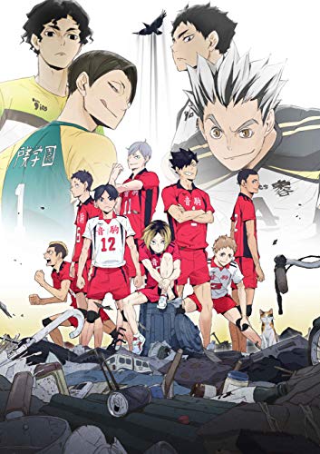 OVA Haikyu Land vs. Sky First Limited Edition DVD TDV-29289D NEW from Japan_1