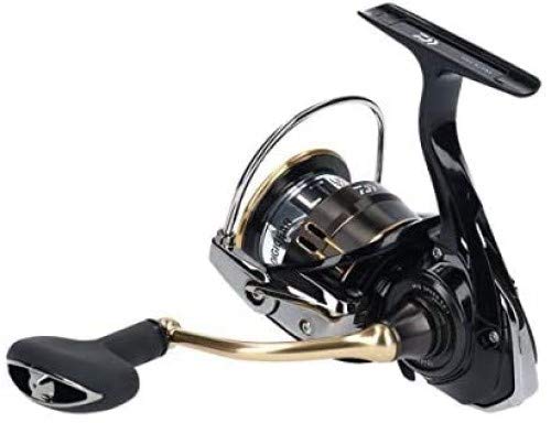 Daiwa 19 BALLISTIC LT3000 Spinning Reel Nylon ‎2019 Model NEW from Japan_5