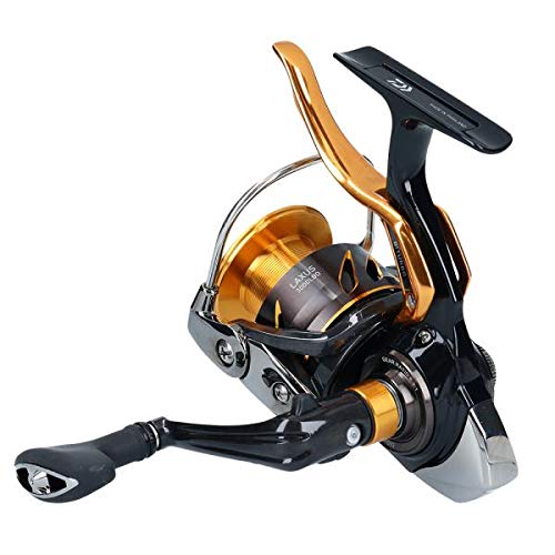 DAIWA Spinning Reel 19 Ragusus 3000LBD Nylon 2019 Model NEW from Japan_5