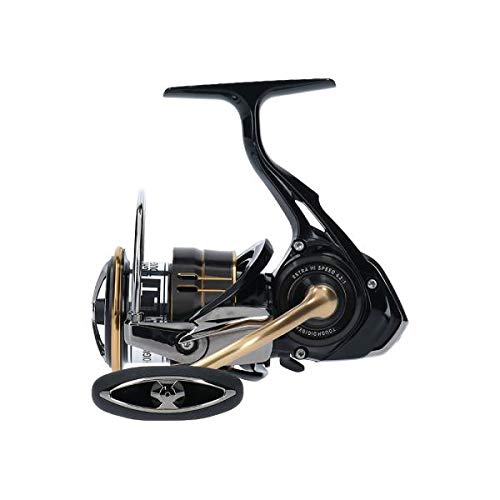 Daiwa 19 BALLISTIC LT3000-XH Fishing Spinning Reel Nylon Gold Black Saltwater_4
