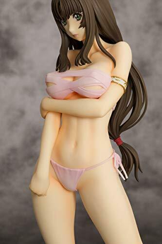Queen's Blade: Beautiful Fighters Tomoe 2P Color Ver. 1/6 Scale Figure NEW_10