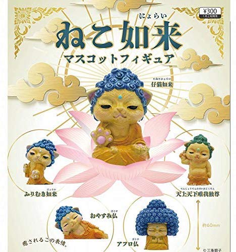 Qualia cat Nyorai Tathagata mascot figures Set of 5 Full Complete Gashapon toys_1