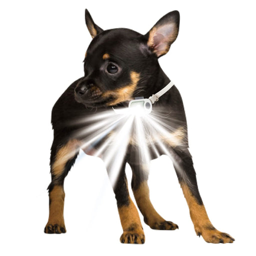 PLATZ PET SUPPLISES&FUN Dog Collar Walking Supplies Hyper Blinkers EX White NEW_2