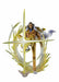 Figuarts Zero [Extra Battle] 'The Three Admirals' Borsalino -Kizaru- Figure NEW_1