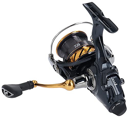 Daiwa Spinning Reel Yaen 19 Aolimatic BR LT 2019 Model LT3000D Nylon 00065704_4