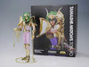 Bandai Saint Cloth Myth EX Andromeda Shun (Reborn Bronze Cloth) Limited Edition_2