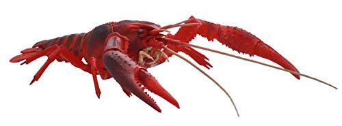Jiyuu Kenkyuu Series No.24 Living Things Swamp Crayfish (Red) Plastic Model Kit_1