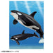 TAKARA TOMY ANIA Animal Adventure AL-08 Killer Whale Parent & Child Mini Figure_4