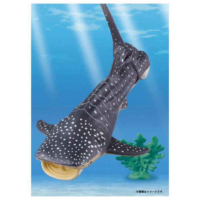 Takara Tomy Ania AL-05 Whale Shark (Floating Ver.) Animal Dinosaur Realistic NEW_7