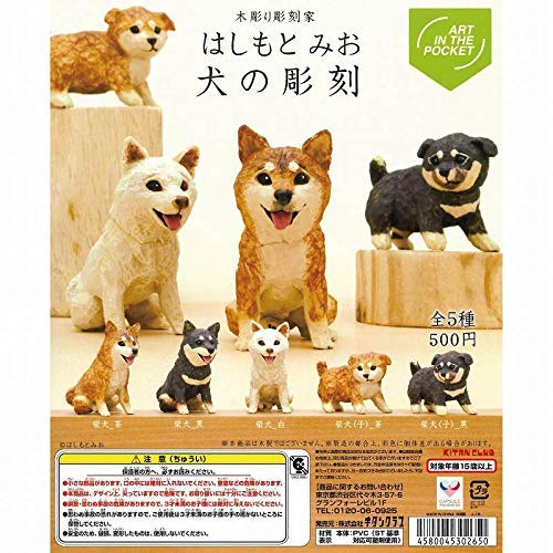 Kitan Club ART IN THE POCKET Mio Hashimoto dogs Set of 5 Figure Gashapon toys_1