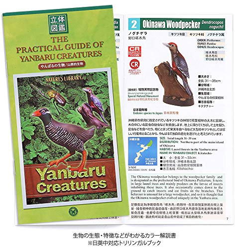 Colorata Okinawa Yanbaru animals box Real Figure Box NEW from Japan_2