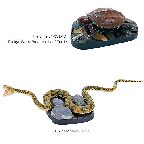 Colorata Okinawa Yanbaru animals box Real Figure Box NEW from Japan_7