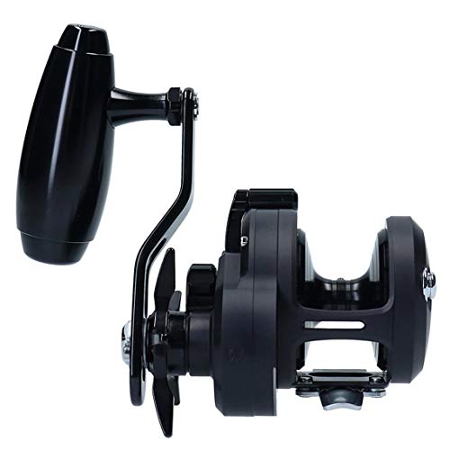 daiwa catalina spinning reel Daiwa 19 Catalina 15H-SJ