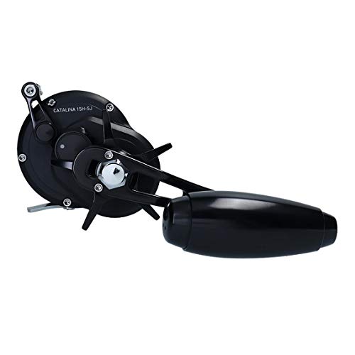 daiwa catalina fishing reel Daiwa 19 Catalina 15H-SJ