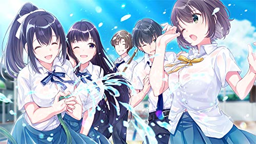 PS4 Aonatsu Line PLJM-16442 Standard Edition Visual Novel Game NEW from Japan_2