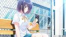 PS4 Aonatsu Line PLJM-16442 Standard Edition Visual Novel Game NEW from Japan_3