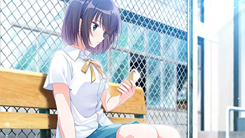 PS4 Aonatsu Line PLJM-16442 Standard Edition Visual Novel Game NEW from Japan_3