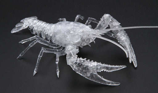 Fujimi Model Free Research Series No.24 EX-3 Creature Edition American Crayfish_2