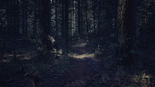 Nintendo Switch Blair Witch Japanese Ver. HAC-P-AXUGB survival horror game NEW_2