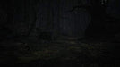 Nintendo Switch Blair Witch Japanese Ver. HAC-P-AXUGB survival horror game NEW_4