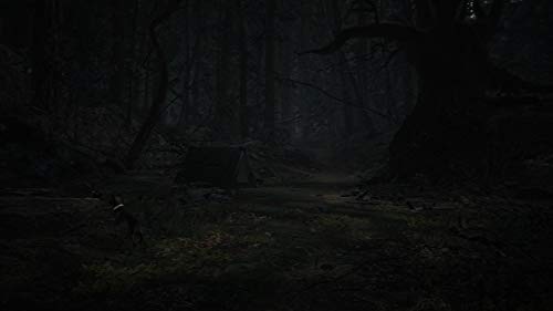 Nintendo Switch Blair Witch Japanese Ver. HAC-P-AXUGB survival horror game NEW_4