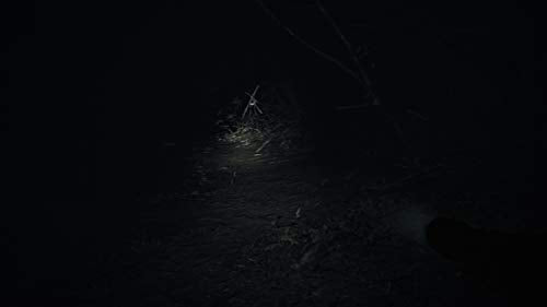 Nintendo Switch Blair Witch Japanese Ver. HAC-P-AXUGB survival horror game NEW_5