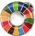 SDGs Pin Badge Cute Fashionable Gift Lapel Pin UN Specification Silver NEW_1