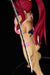 Erza Scarlet Swimsuit Gravure_Style/Ver. Sakura 1/6 Scale Figure NEW from Japan_5