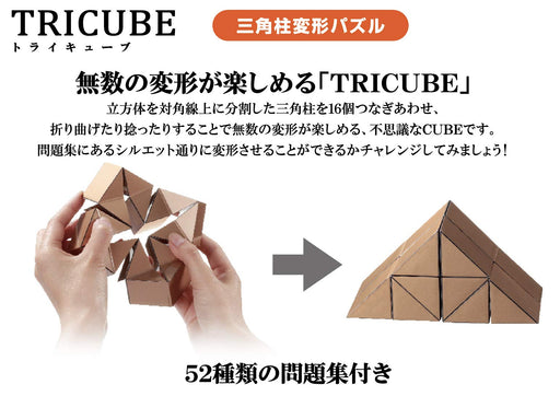 Hanayama Katsuno Tri-Cube with Shapes Question Book Brain Toy cube puzzle NEW_2