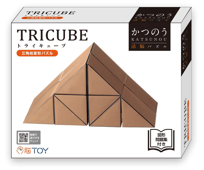 Hanayama Katsuno Tri-Cube with Shapes Question Book Brain Toy cube puzzle NEW_3