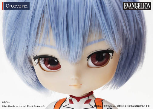 Collection Doll Evangelion Rei Ayanami YC-002 H270mm non-scale ABS Action Figure_2