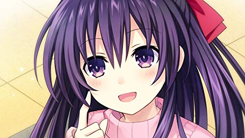 PS4 Date A Live Ren Dystopia Limited Edition PLJM-16393 COMPILE HEART NEW_6