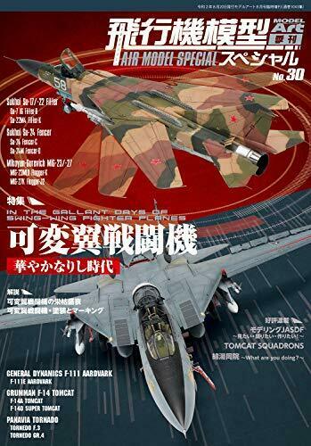 Air Model Special No.30 (Book) NEW from Japan_1