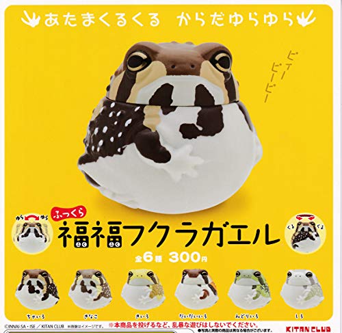 Plump Fukufuku Fukuragael All 6 Kinds Set Full Comp Frog Figure NEW from Japan_1