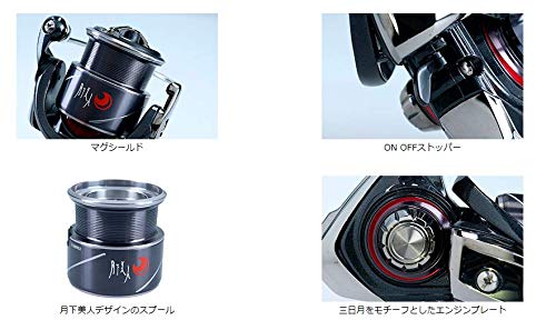 DAIWA 20 GEKKABIJIN X LT2000S-P ‎00060301 Exchangeable Handle Unisex Adult NEW_6