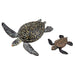 Colorata Sea Turtle Parent-Child Box (3D Picture Book) Real Figure 990001 NEW_7