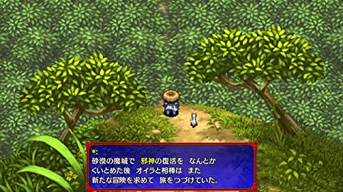 Nintendo Switch Software Mystery Dungeon Shiren the Wanderer 5 Plus HAC-P-AWFWA_5