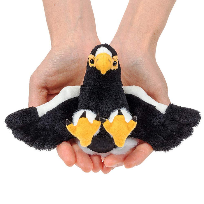 COLORATA Steller's Sea Eagle Plush Doll Ballchain Mascot 16x11.5x16cm 990070 NEW_2