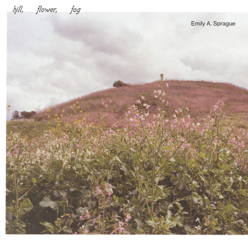 Emily A. Sprague Hill, Flower, Fog Japan Original Planning CD ARTPL-142 NEW_1